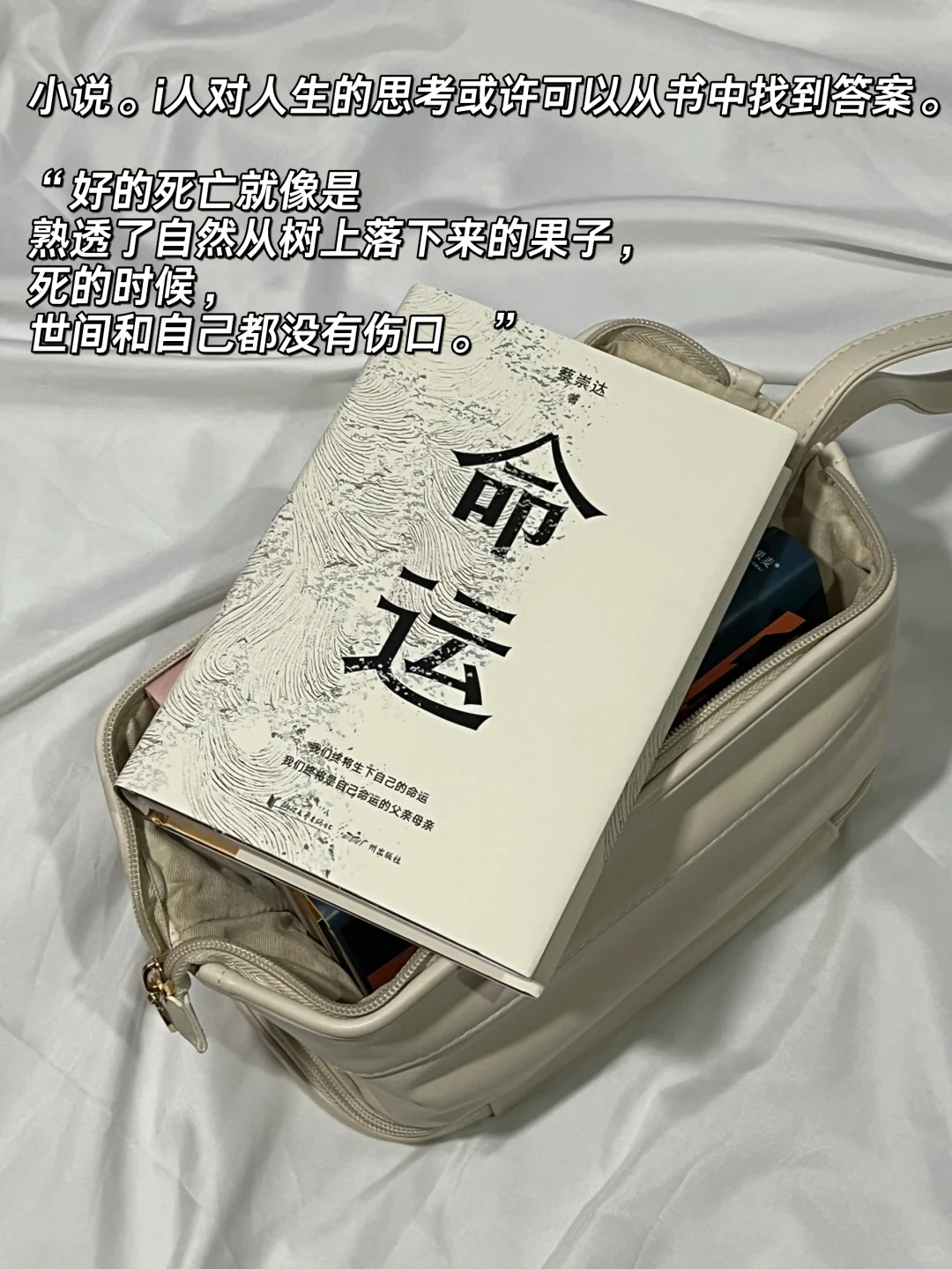 我的口袋书📚超适合i人的地铁通勤小书！