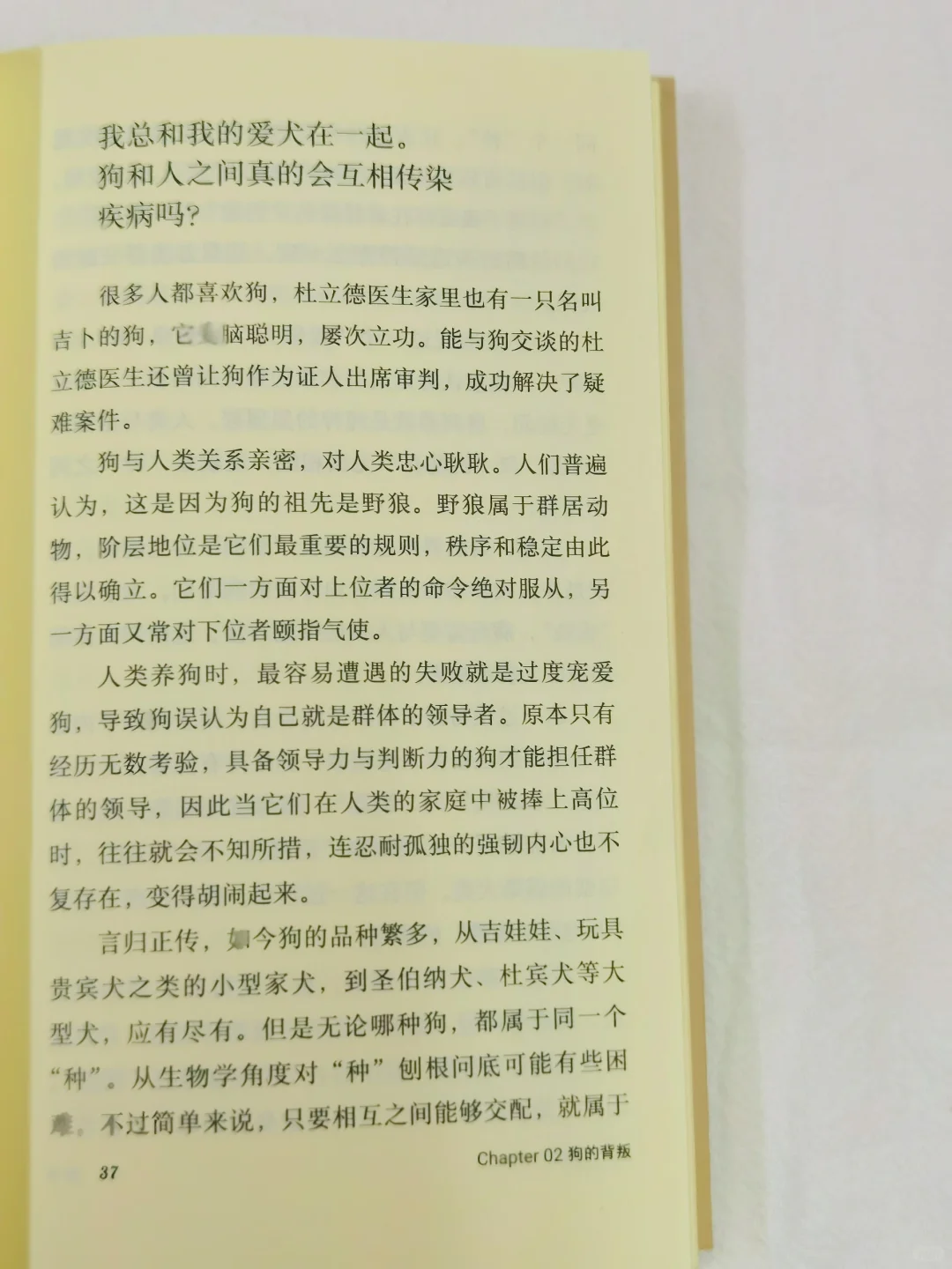 反市场酷设计/阅读也要潮牌化「轻读文库