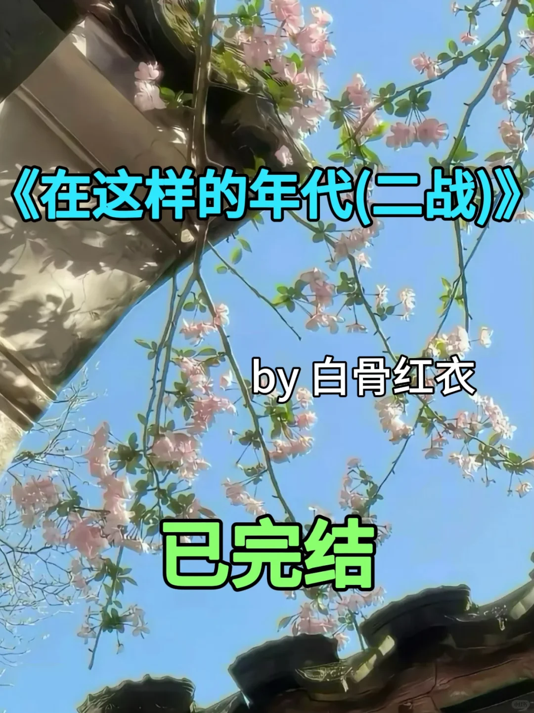 7.8｜强推❗️❗️《在这样的年代(二战)》已完结