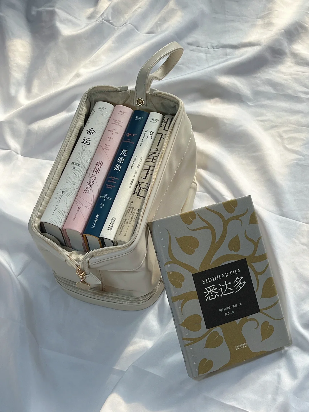 我的口袋书📚超适合i人的地铁通勤小书！