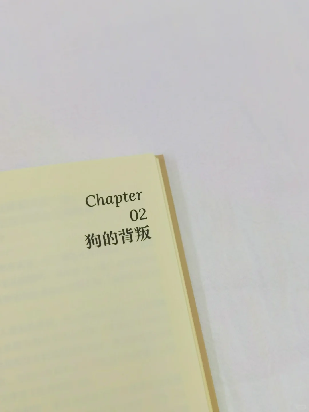 反市场酷设计/阅读也要潮牌化「轻读文库