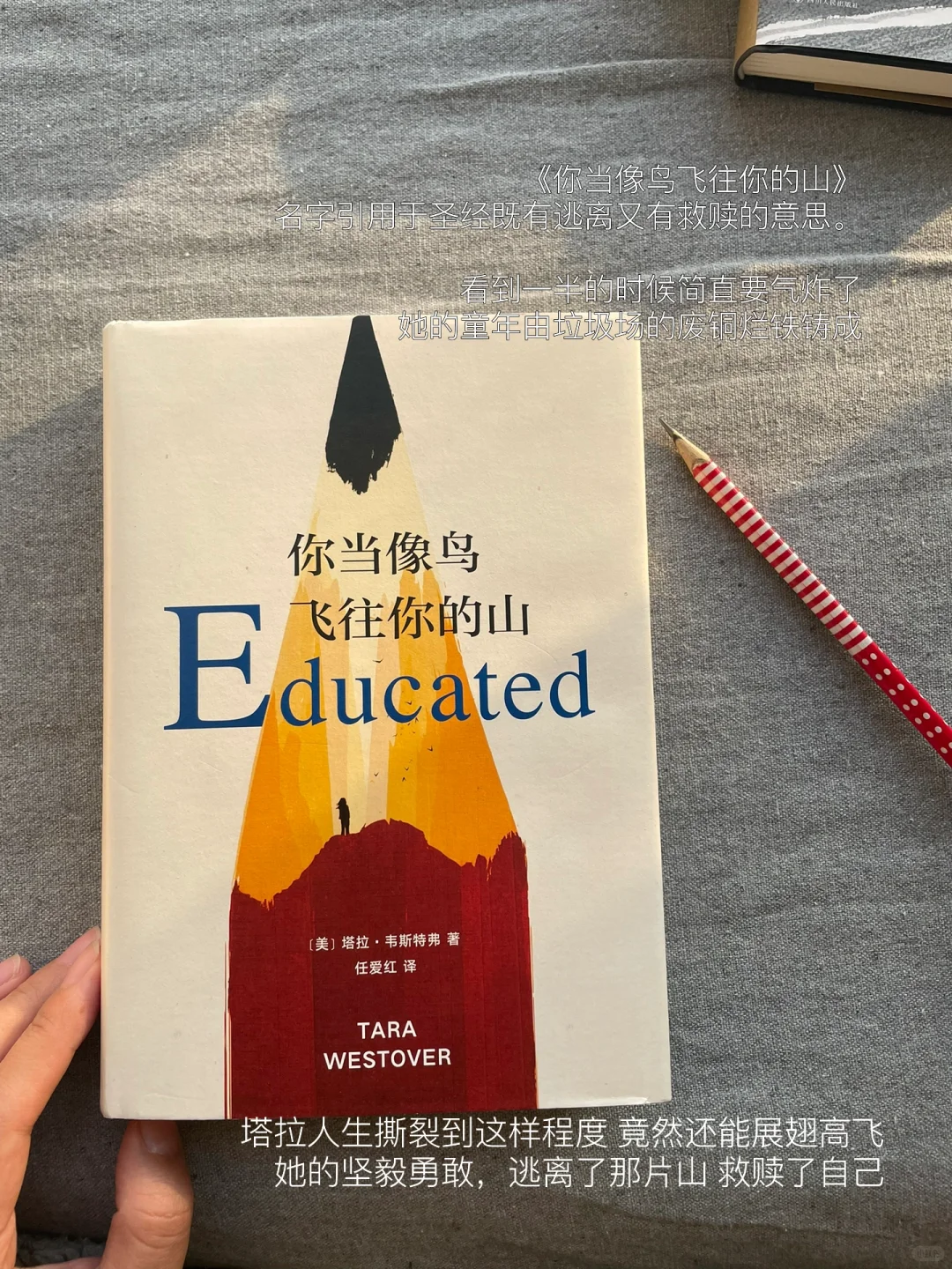 一月书单｜这个月的书就先读到这里