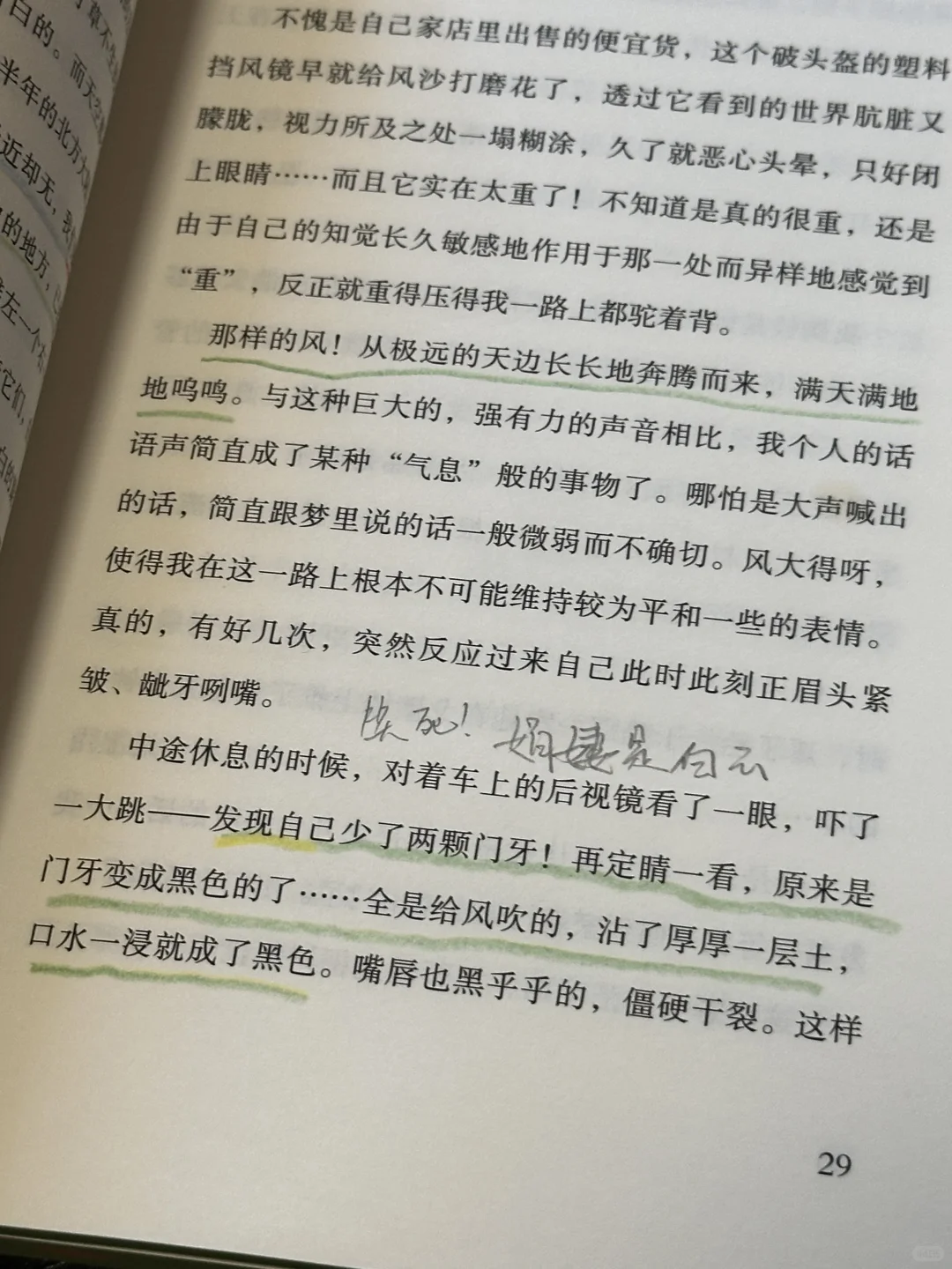 又平静又疯！在高铁上被李娟的书硬控了7小时