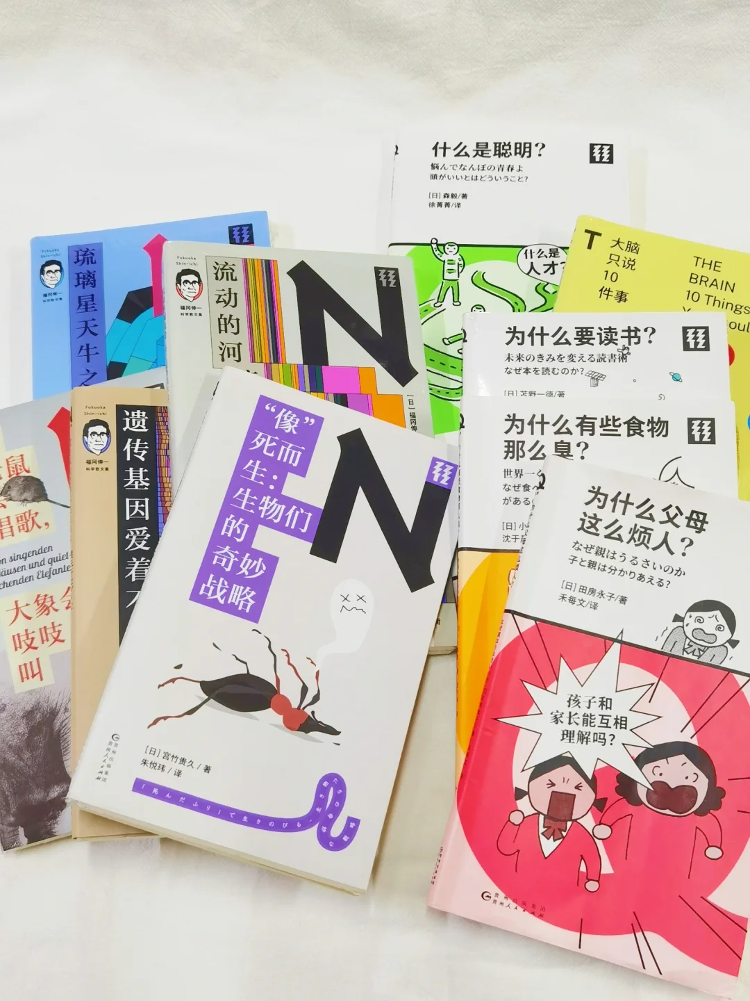 反市场酷设计/阅读也要潮牌化「轻读文库