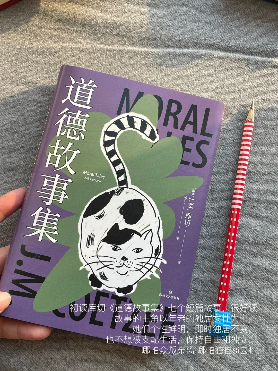 一月书单｜这个月的书就先读到这里