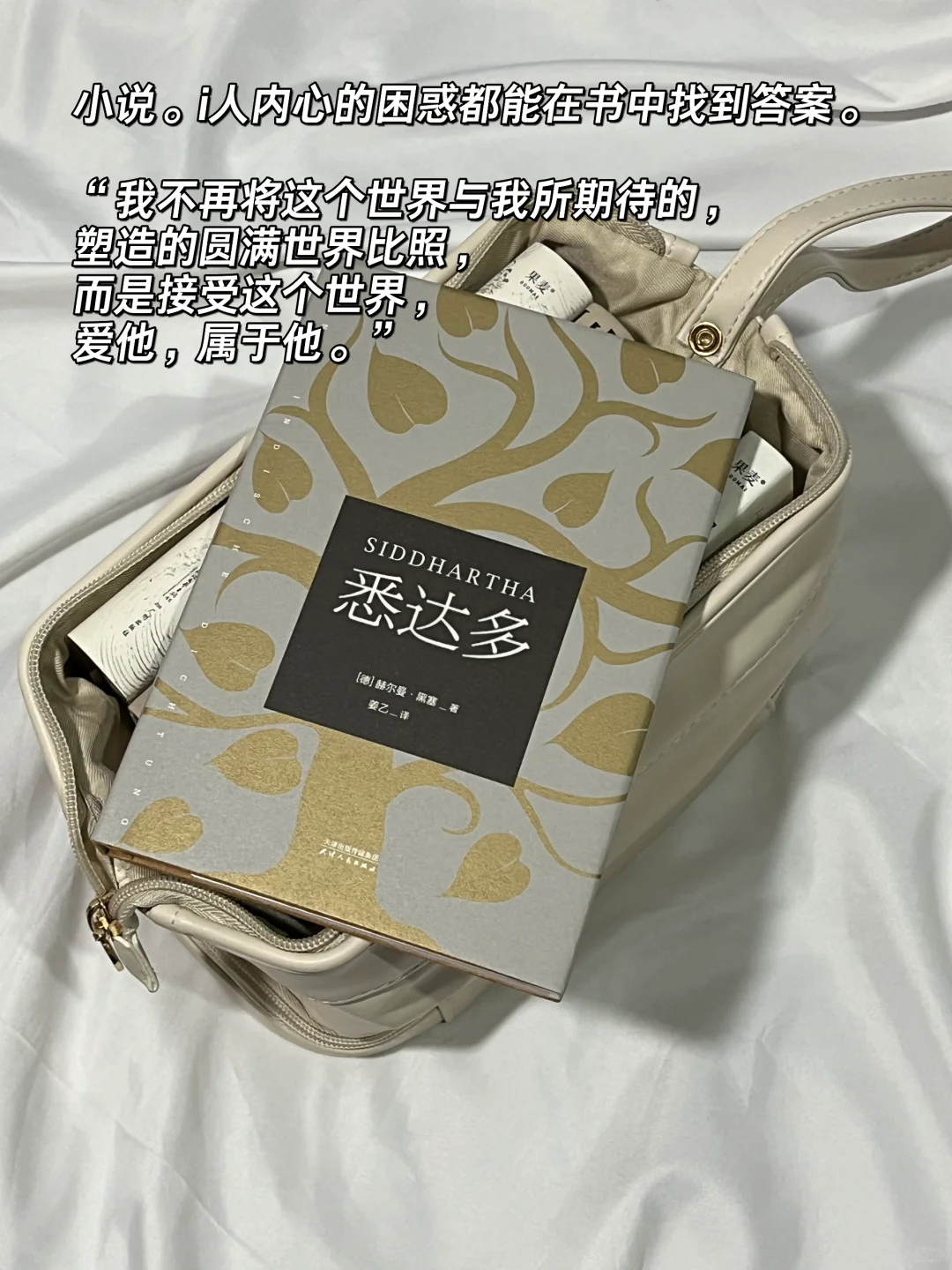 我的口袋书📚超适合i人的地铁通勤小书！