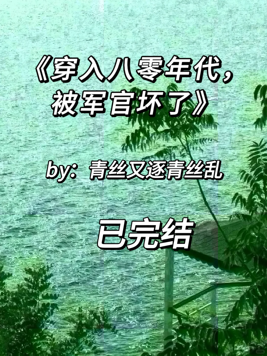 强推‼️假千金✖️军官男主 年代 穿书 甜宠
