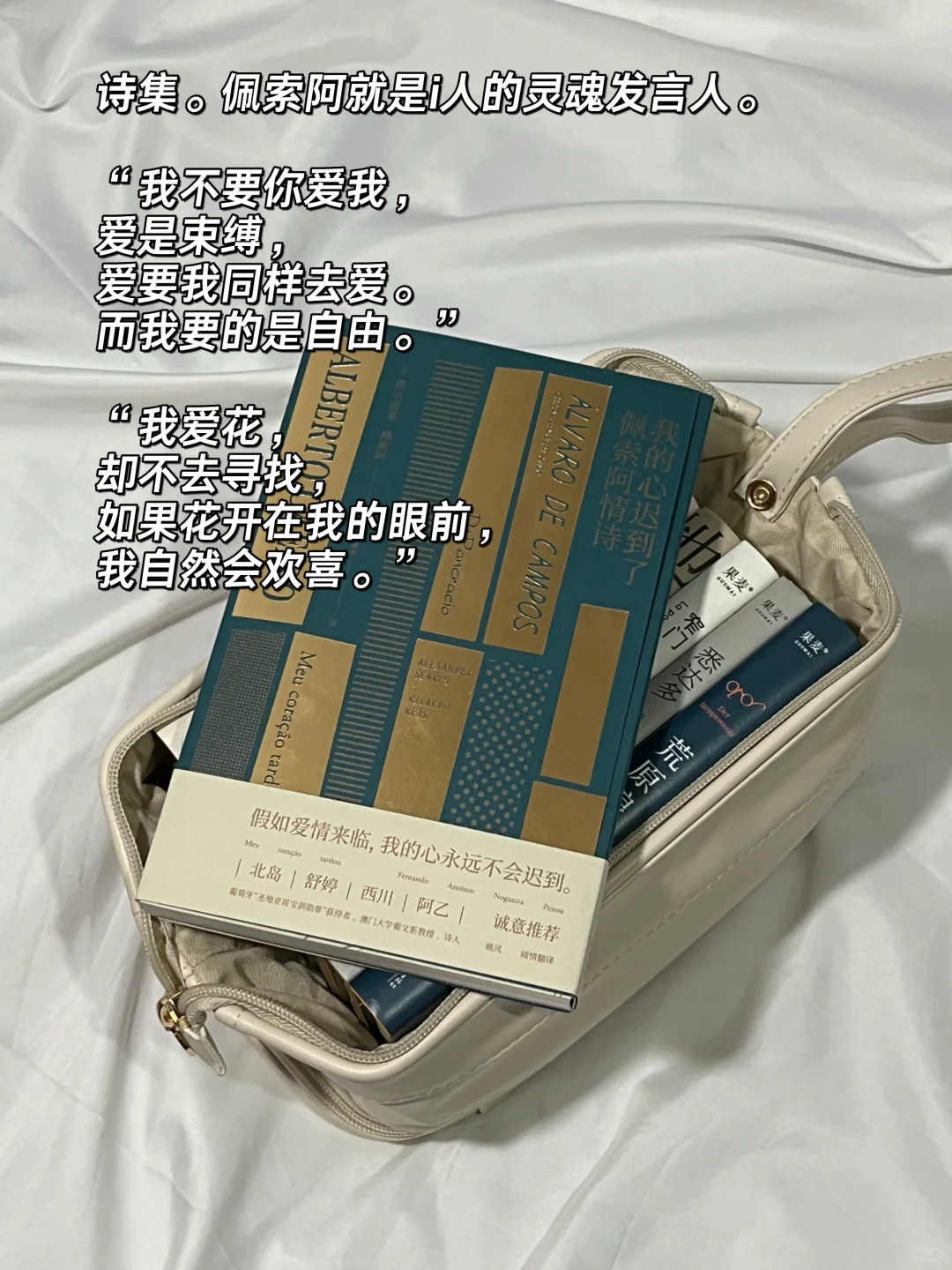 我的口袋书📚超适合i人的地铁通勤小书！