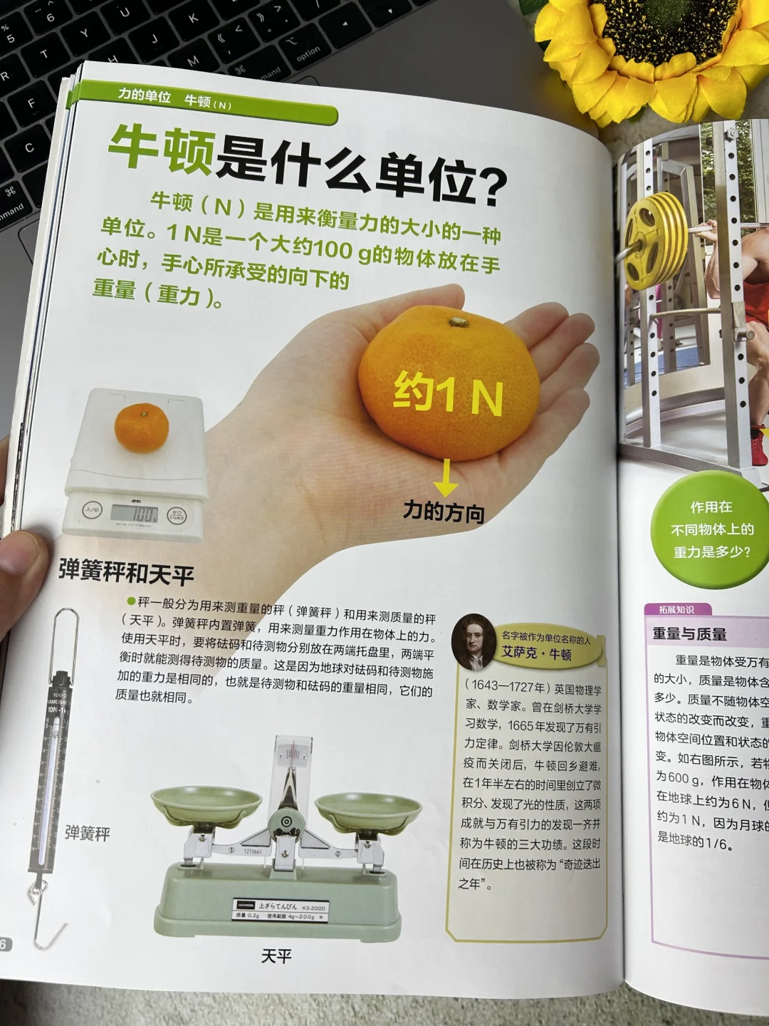 我宣布！！！这是小学生数理化启蒙的神🔥