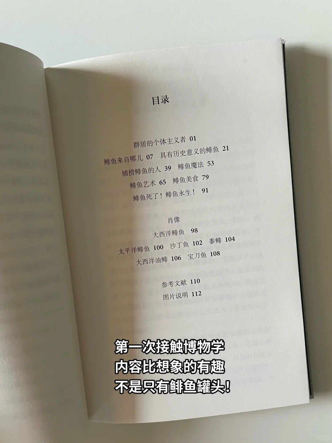 一些适合通勤的小开本