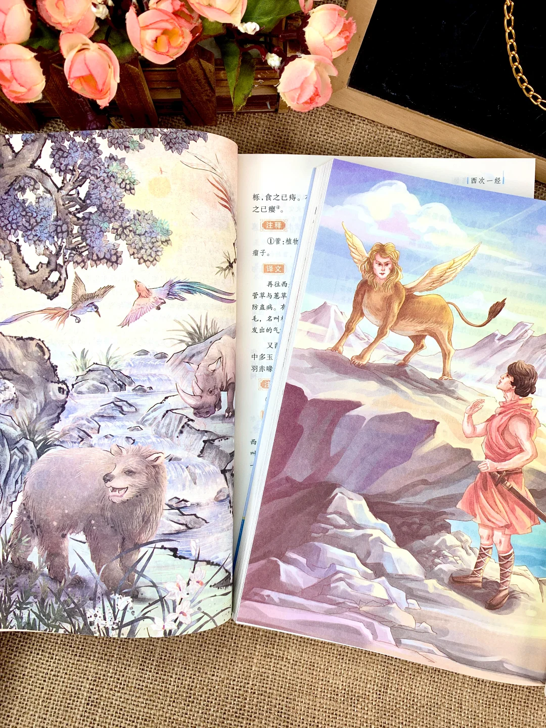谁懂啊！四年级快乐读书吧这套书真神了