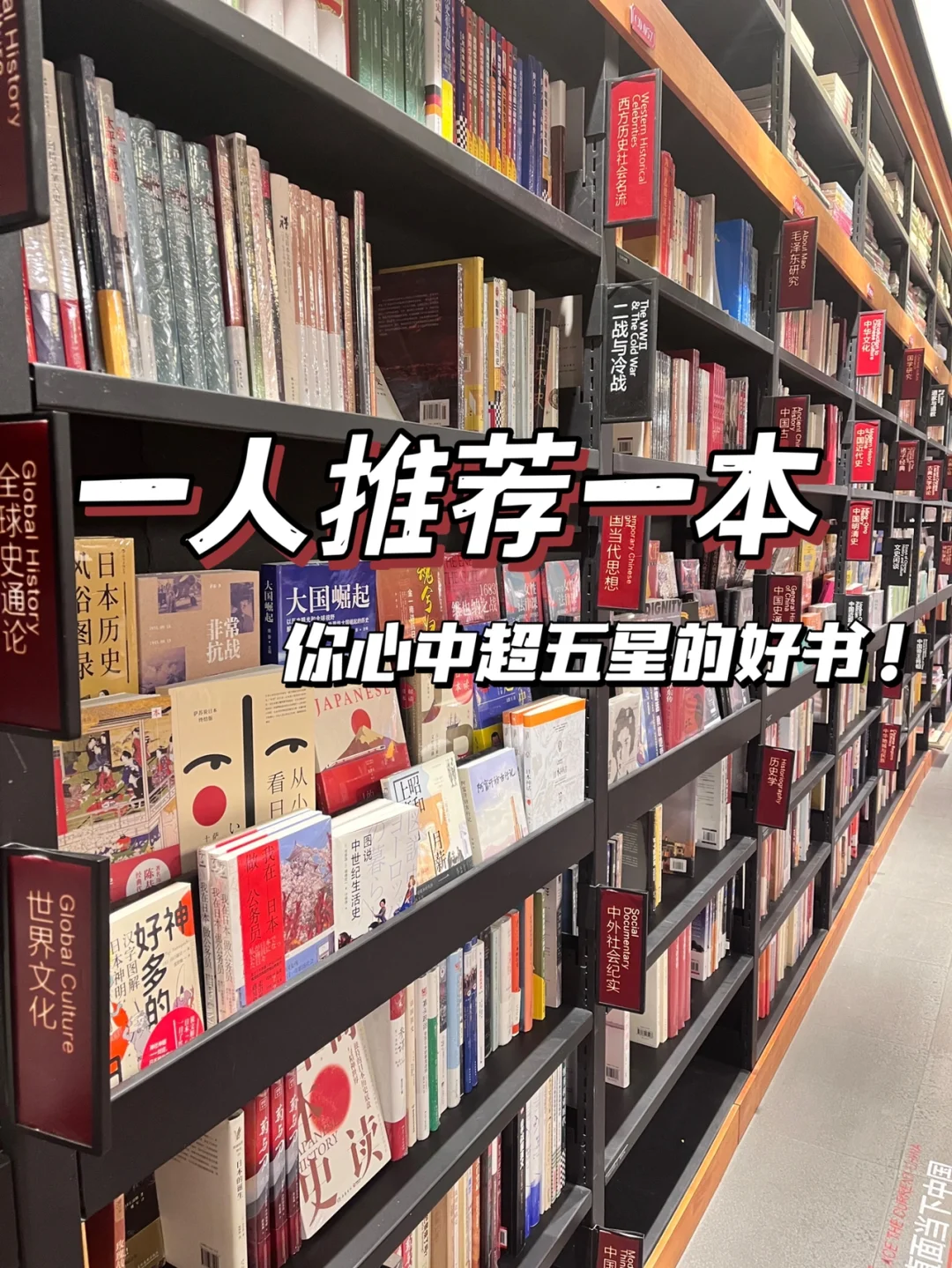 一人推荐一本你心中超五星的好书🌟🌟🌟🌟🌟