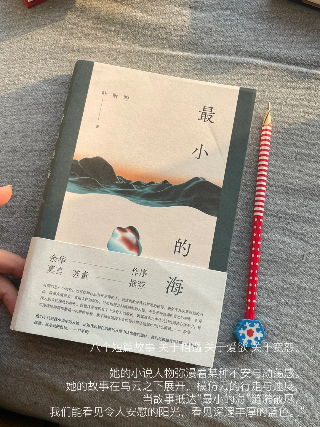 一月书单｜这个月的书就先读到这里