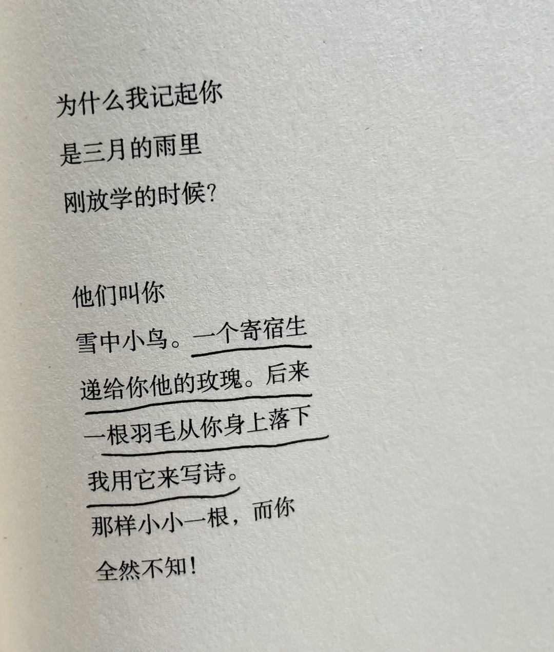 通勤口袋书📚把阅读变成随身携带的避难所