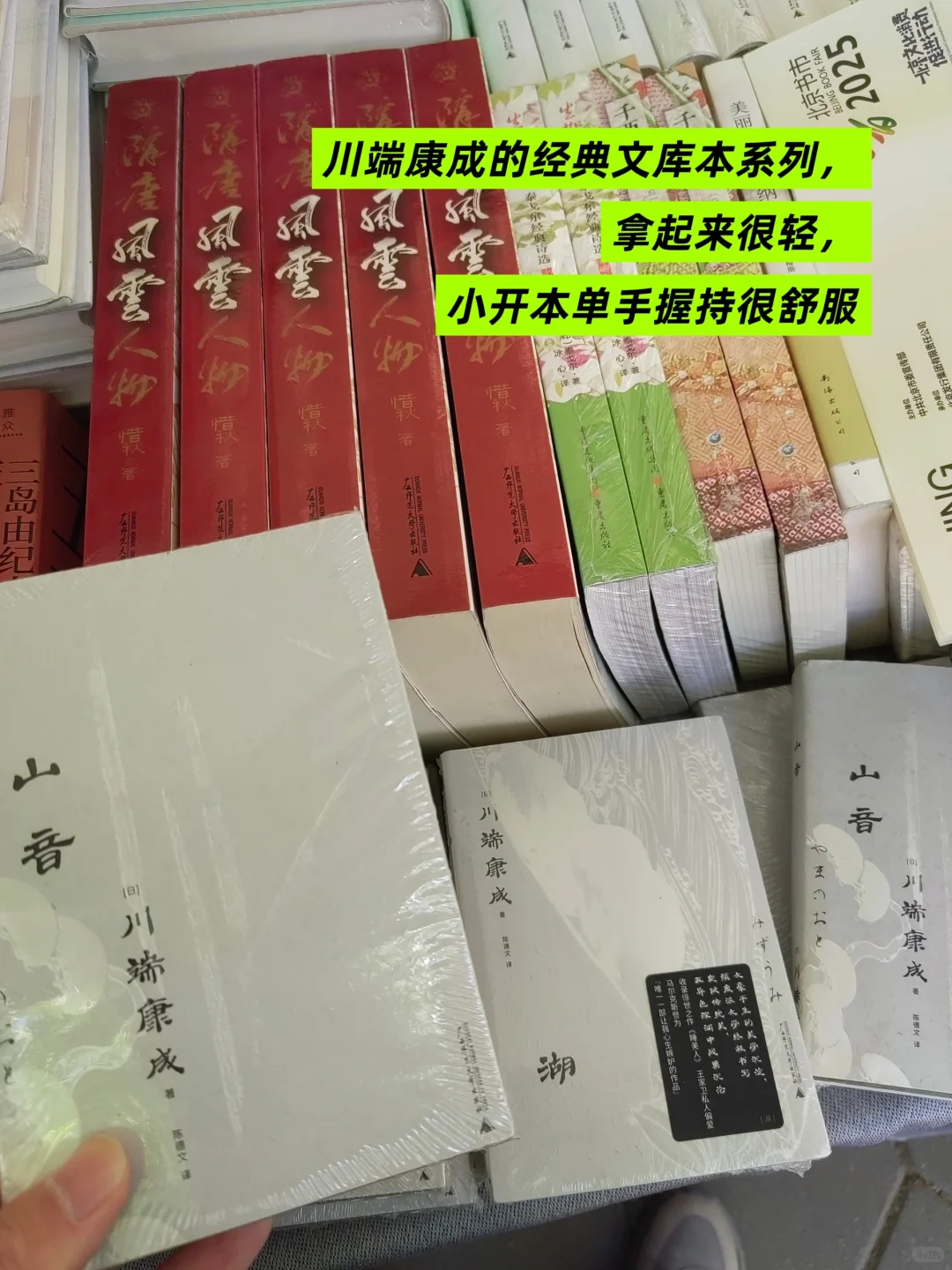 我在朝阳书市找小开本❤️‍🔥丨口袋书单