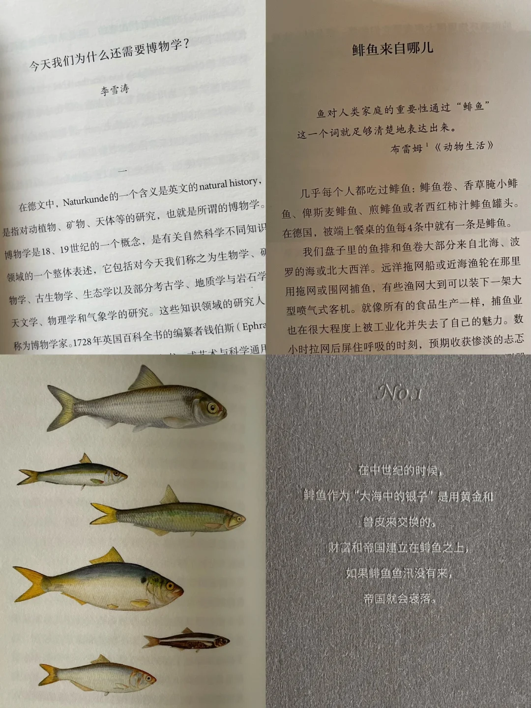 一些适合通勤的小开本