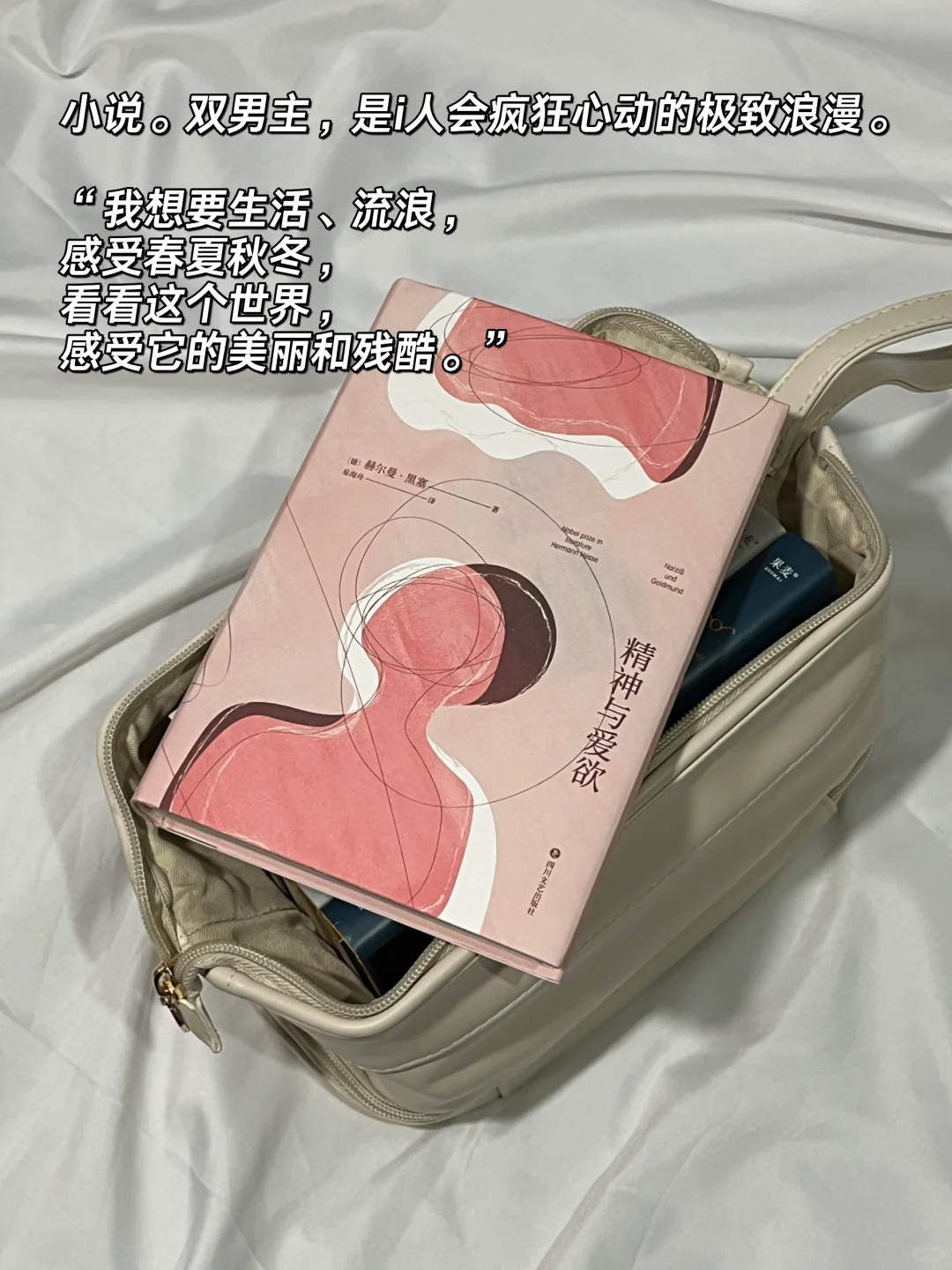 我的口袋书📚超适合i人的地铁通勤小书！