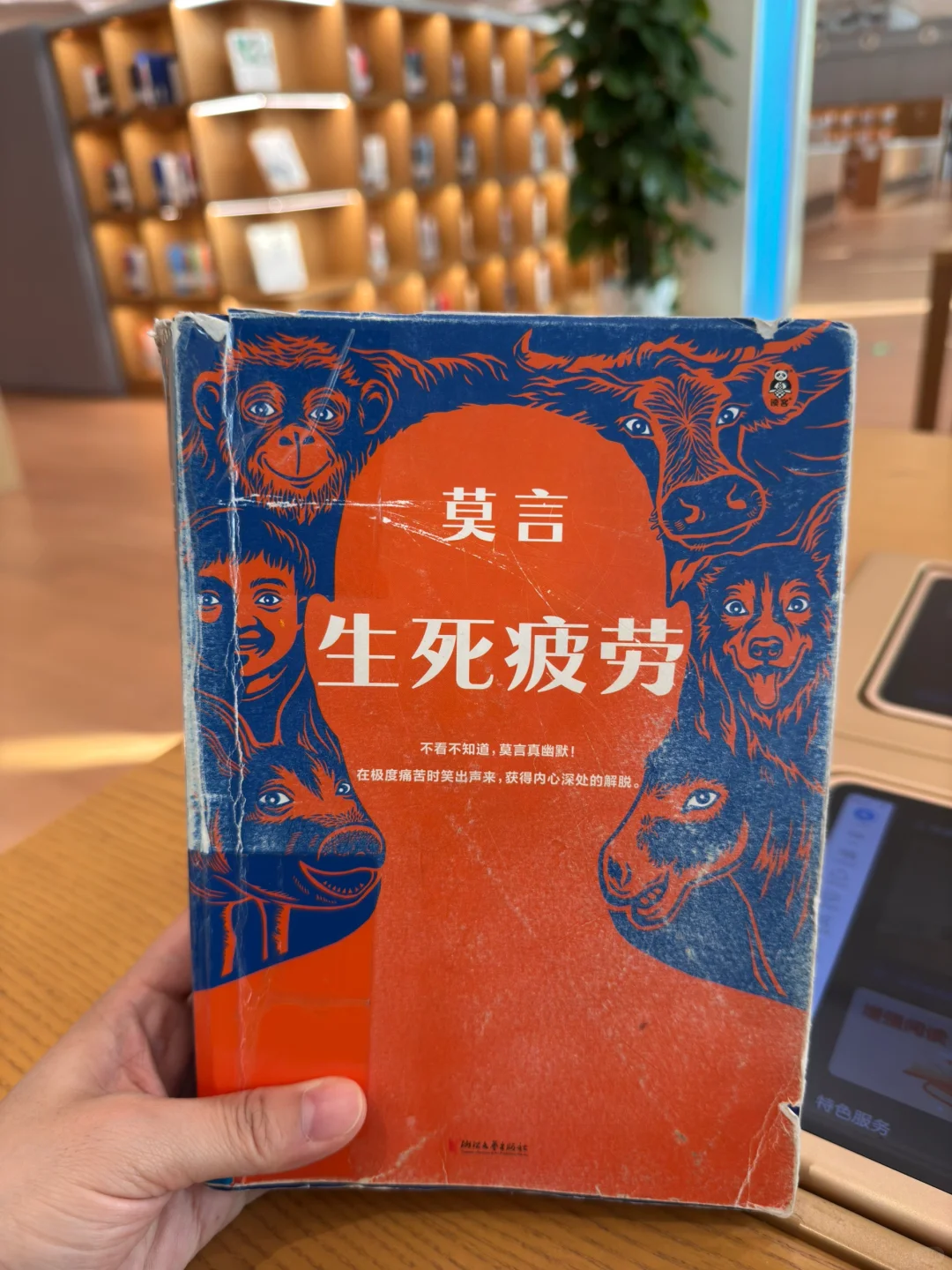 ✨逃离职场后，我在图书馆“泡”出了这份书单