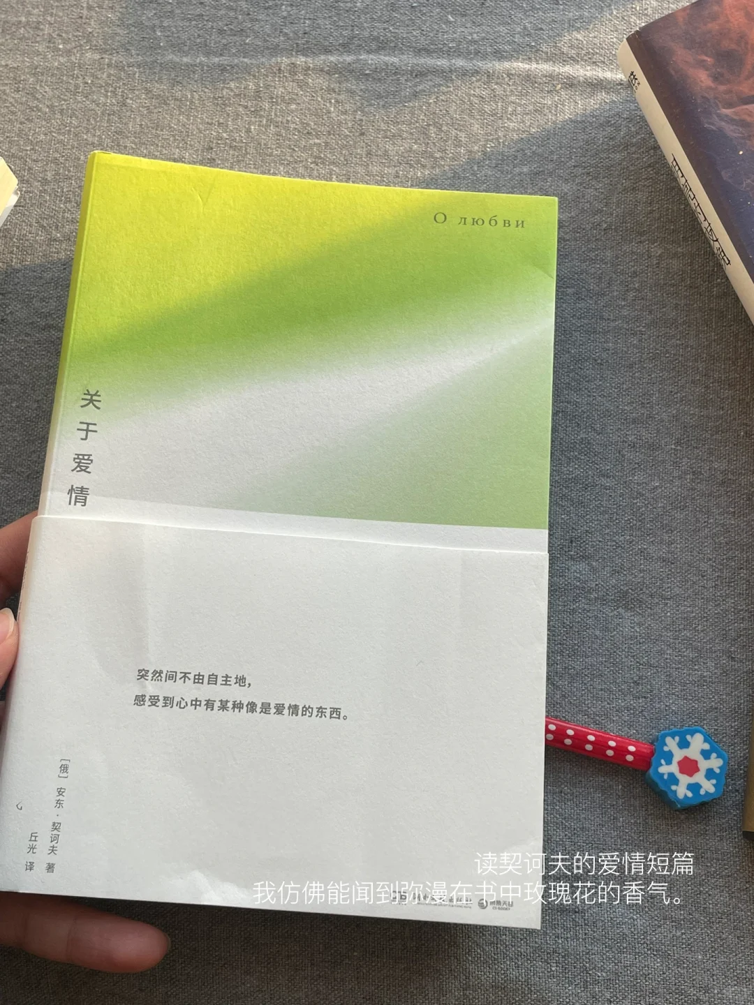 一月书单｜这个月的书就先读到这里