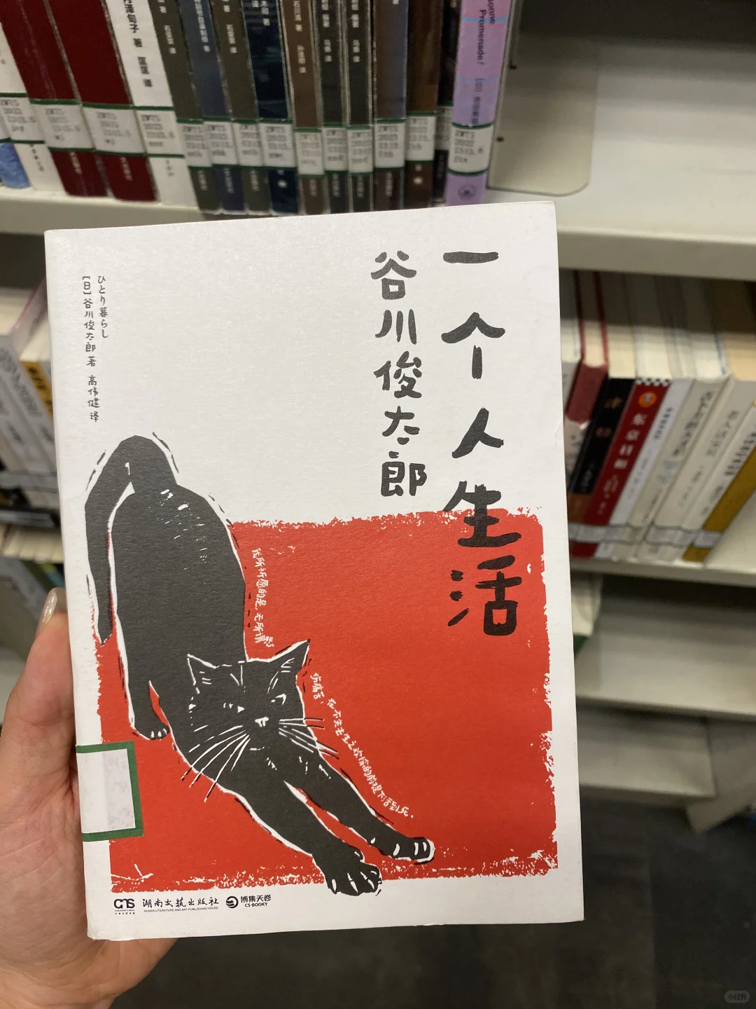 📚好看的书和好看的封面01-日系书单