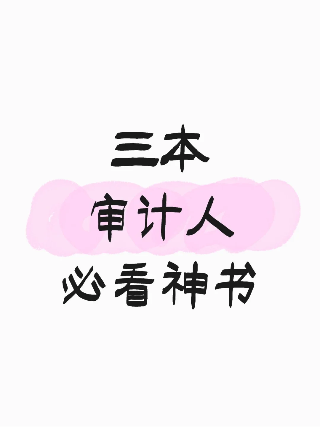 推荐审计的同学，3 本审计人必看神书📚