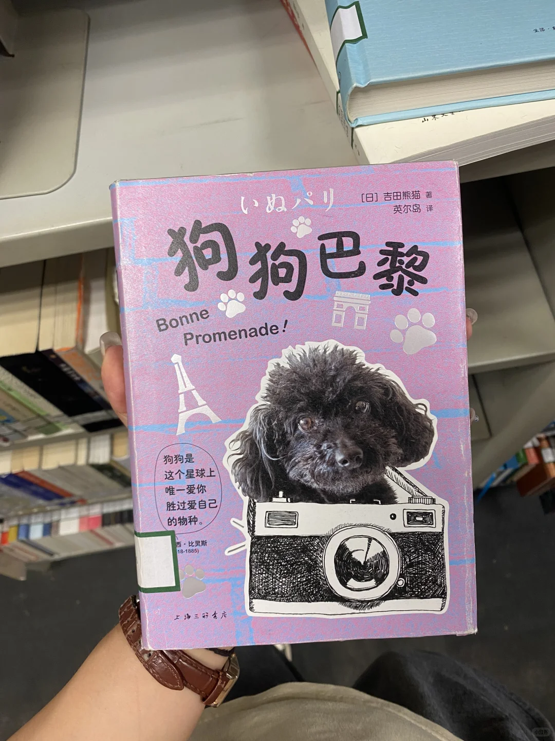 📚好看的书和好看的封面01-日系书单