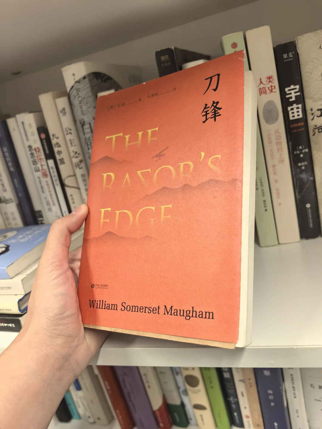 盘点这两年在办公室加班读完的书