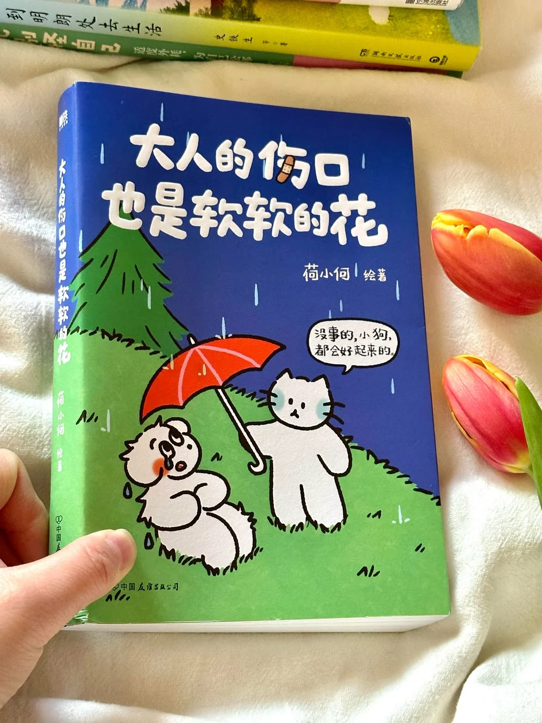 【书籍推荐】治愈书籍
