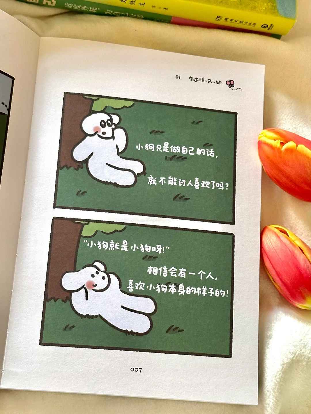 【书籍推荐】治愈书籍