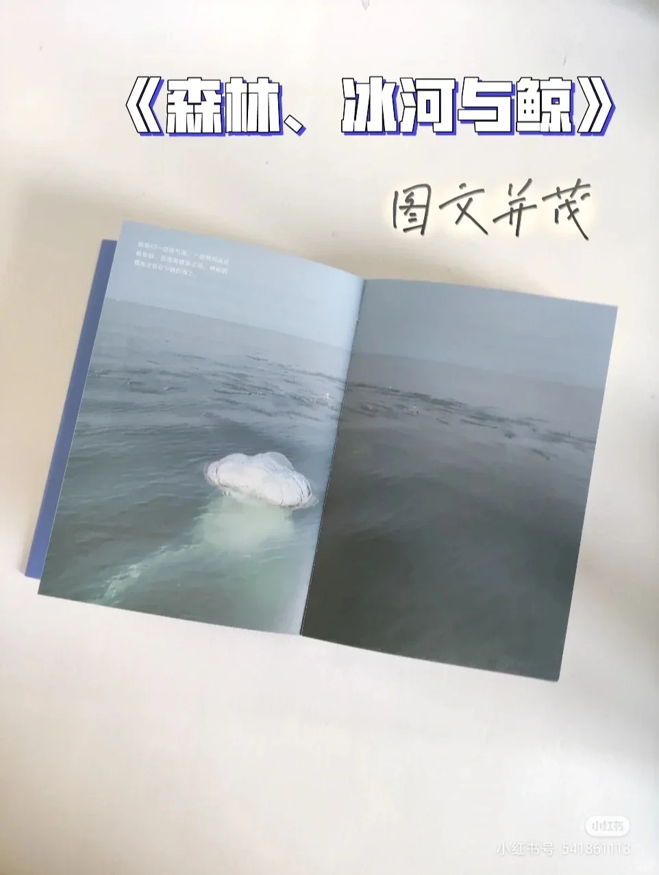 两三小时就能读完的高分轻薄小书 |通勤书单