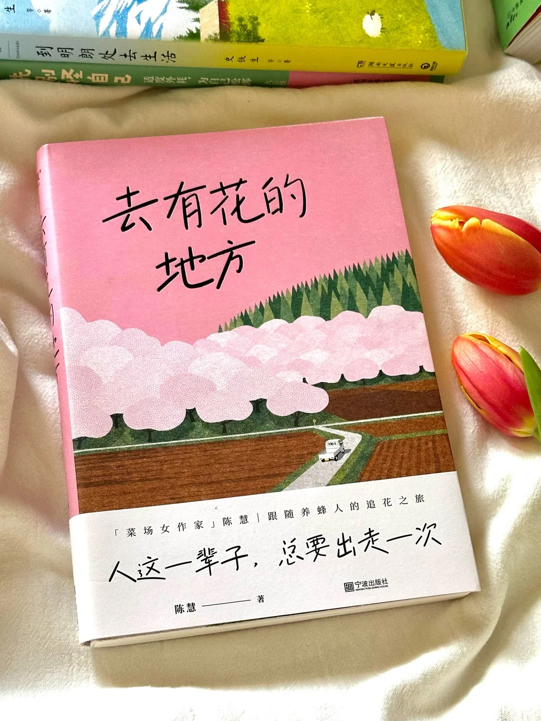 【书籍推荐】治愈书籍
