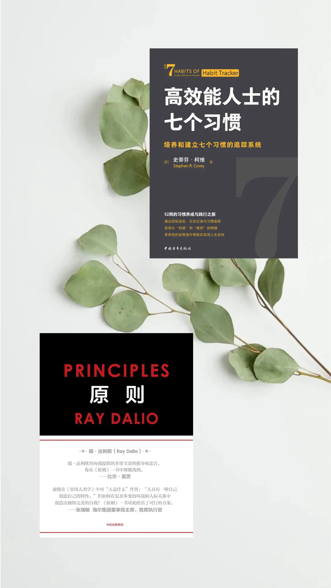 职场上纠结内耗的女生，快去读这10本书！2