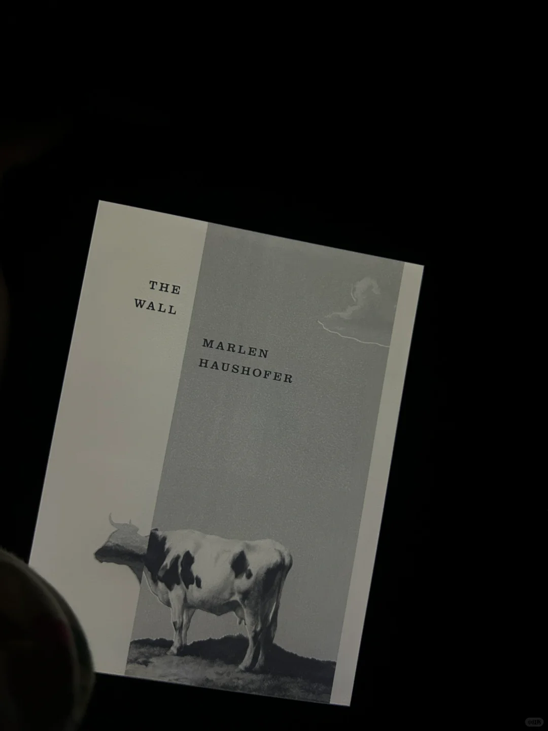 Kindle | 一起读书吧The Wall -隐墙-女作家