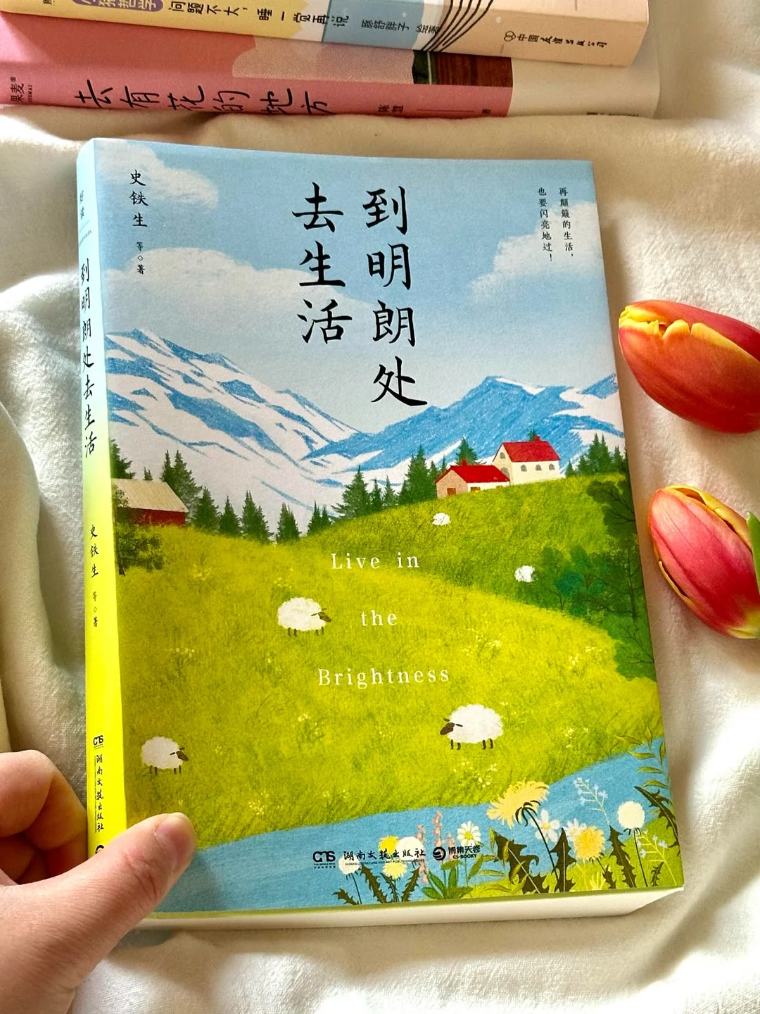 【书籍推荐】治愈书籍