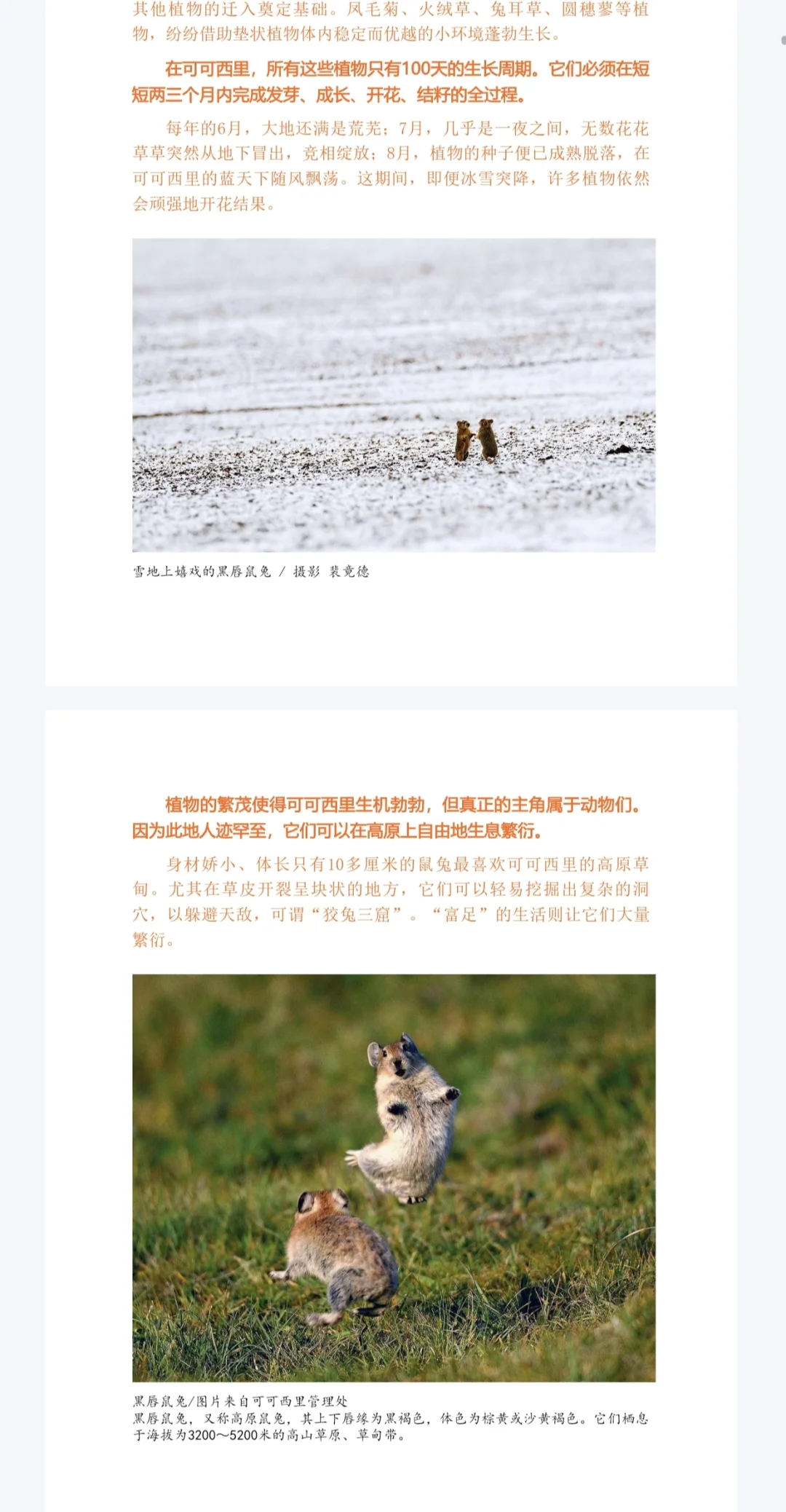 这里是中国电子版全3册需要私