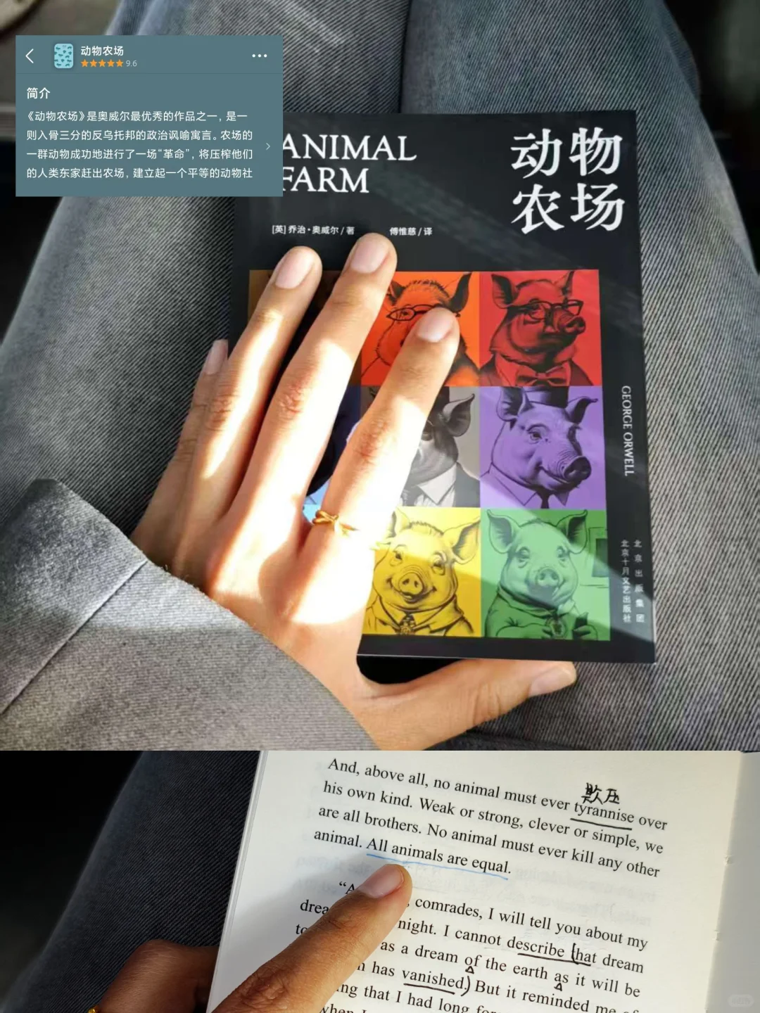 🚇通勤读书人：这4本让我爱上早晚高峰