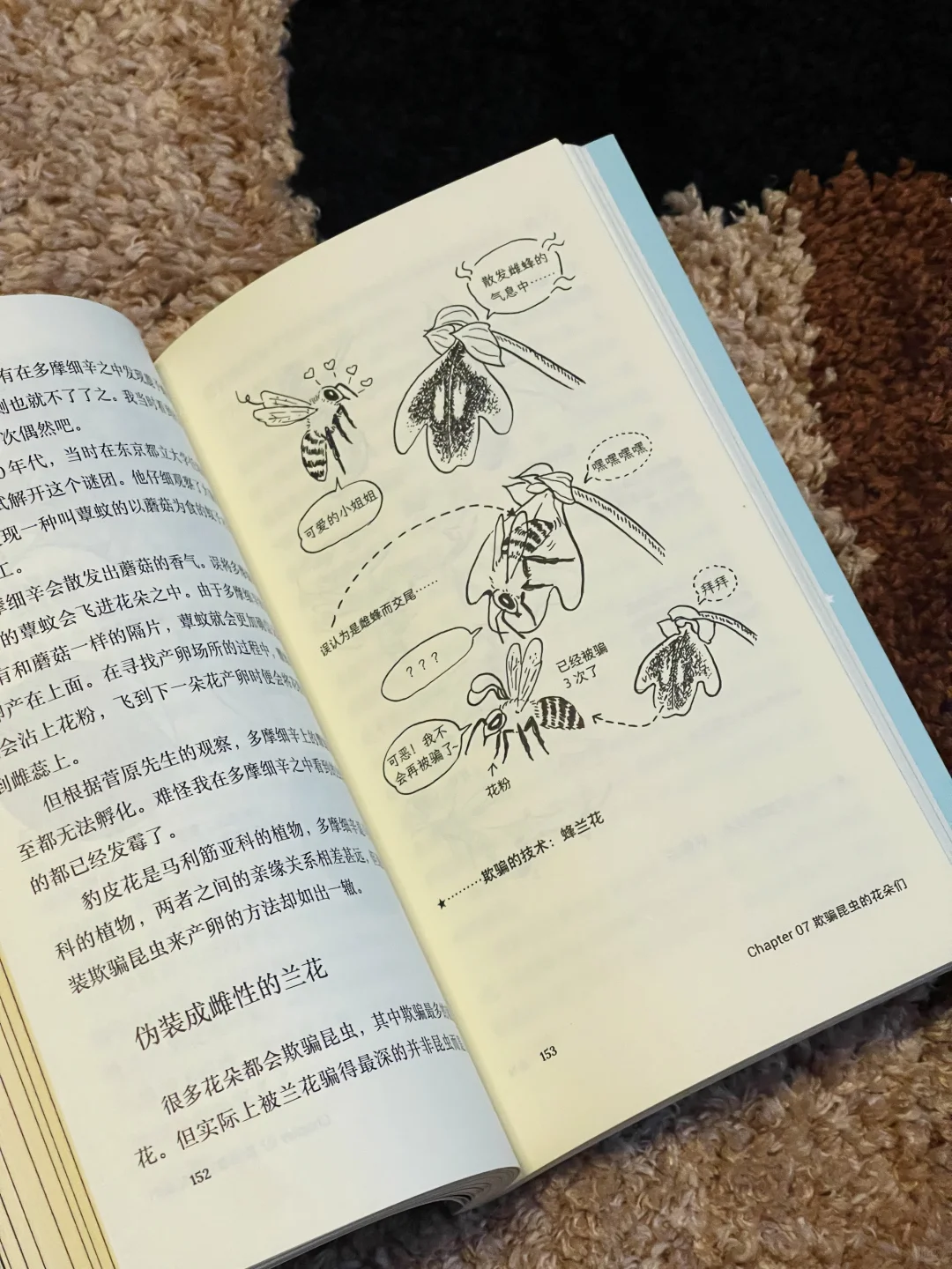 🚄出游书单 | 超适合五一带上路的文库本