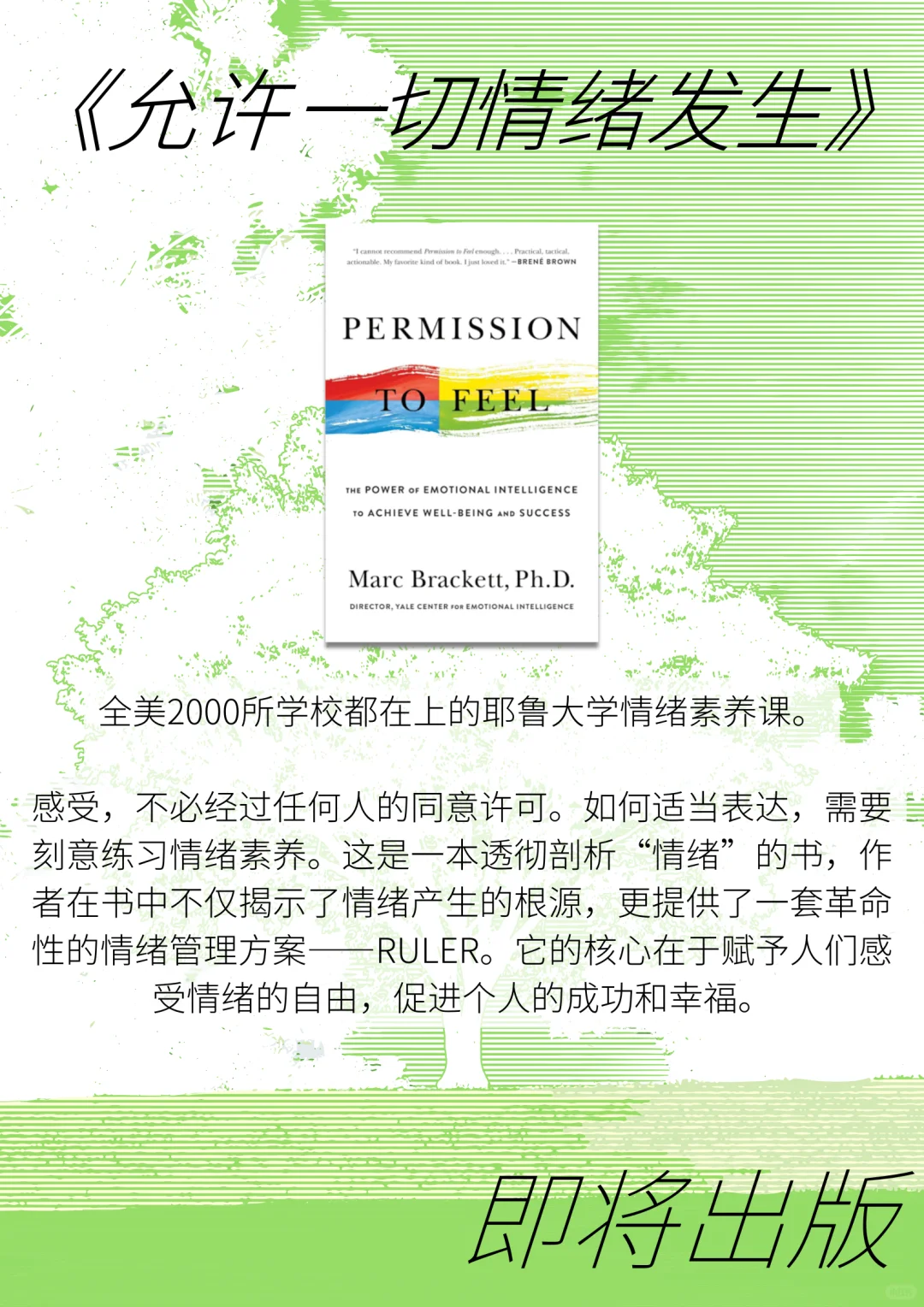 宠粉福利🎁下半年新书剧透！每本都很重磅