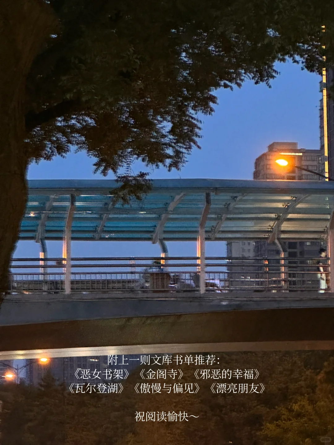 通勤时的小书，像口袋里的mini氧吧🌳