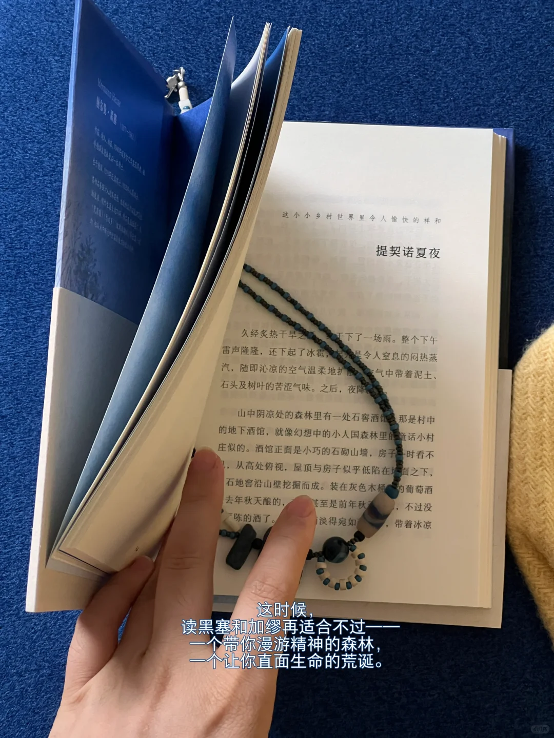 七月夏日书单｜我选书的天赋😇