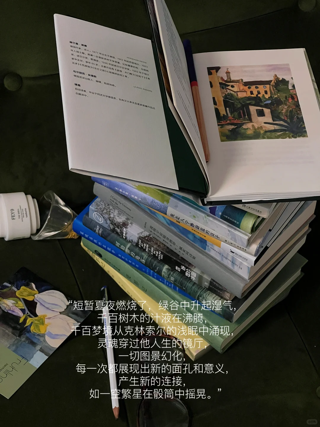 七月夏日书单｜我选书的天赋😇