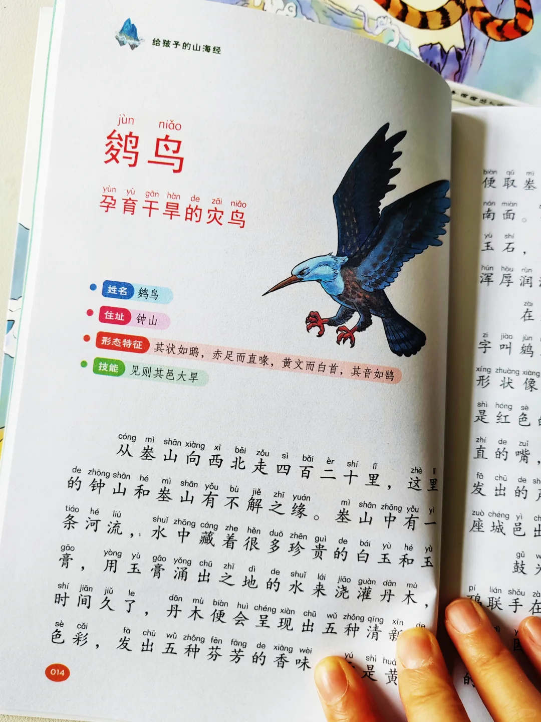 这才是孩子看的课外书！《山海经》