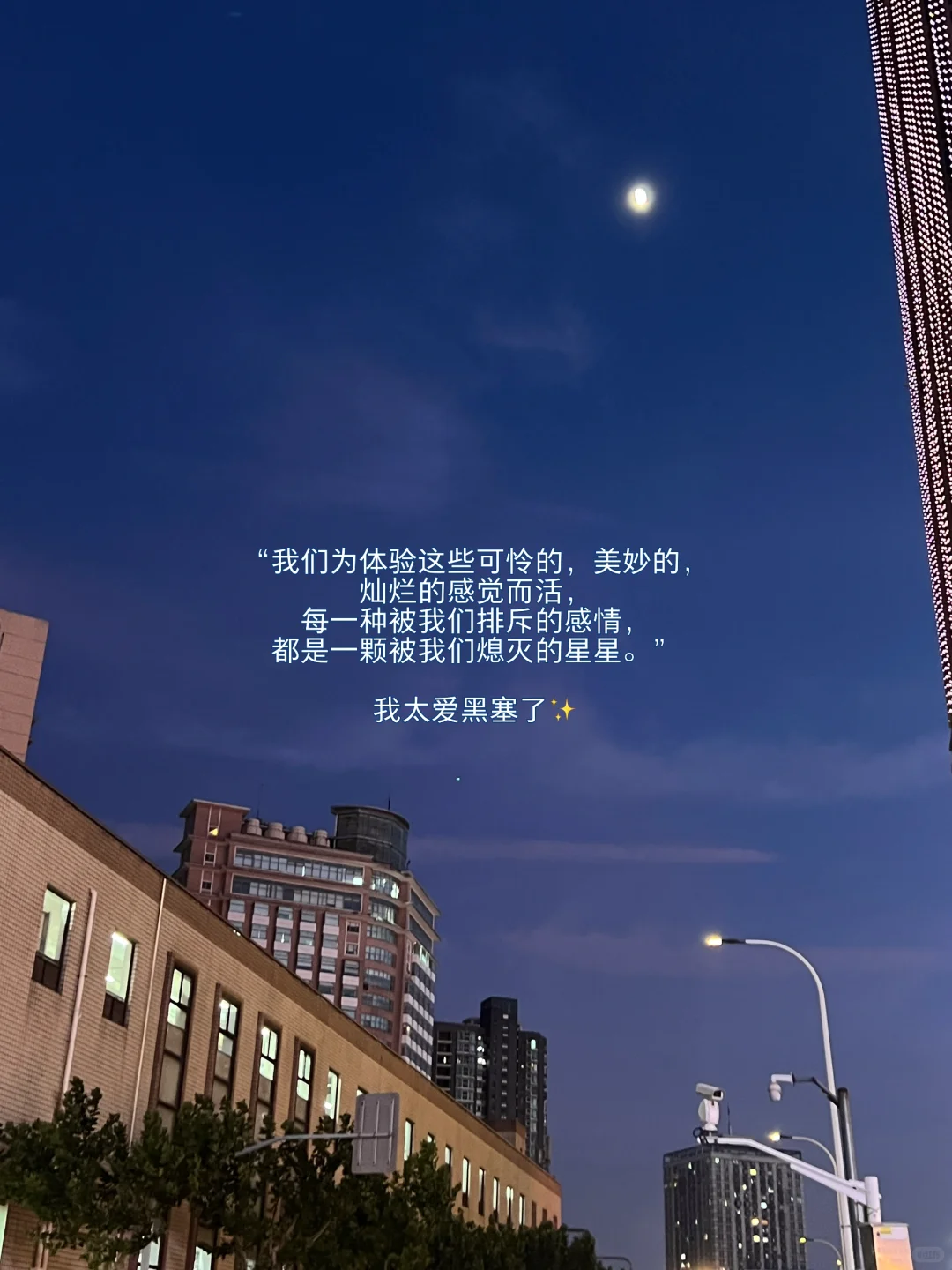 七月夏日书单｜我选书的天赋😇