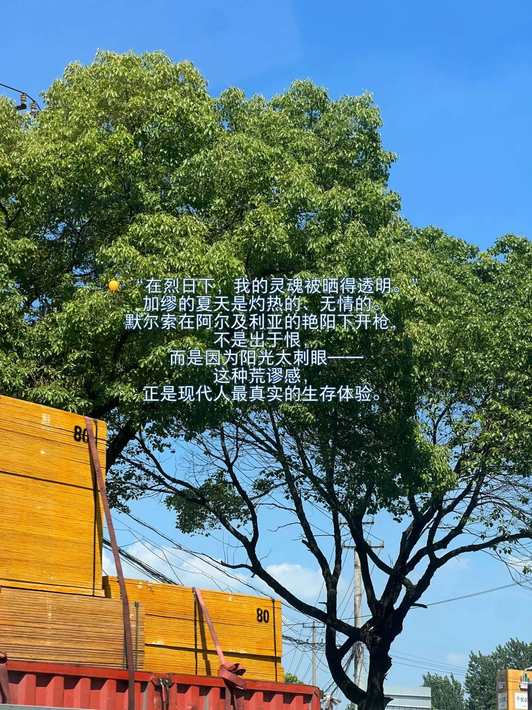七月夏日书单｜我选书的天赋😇