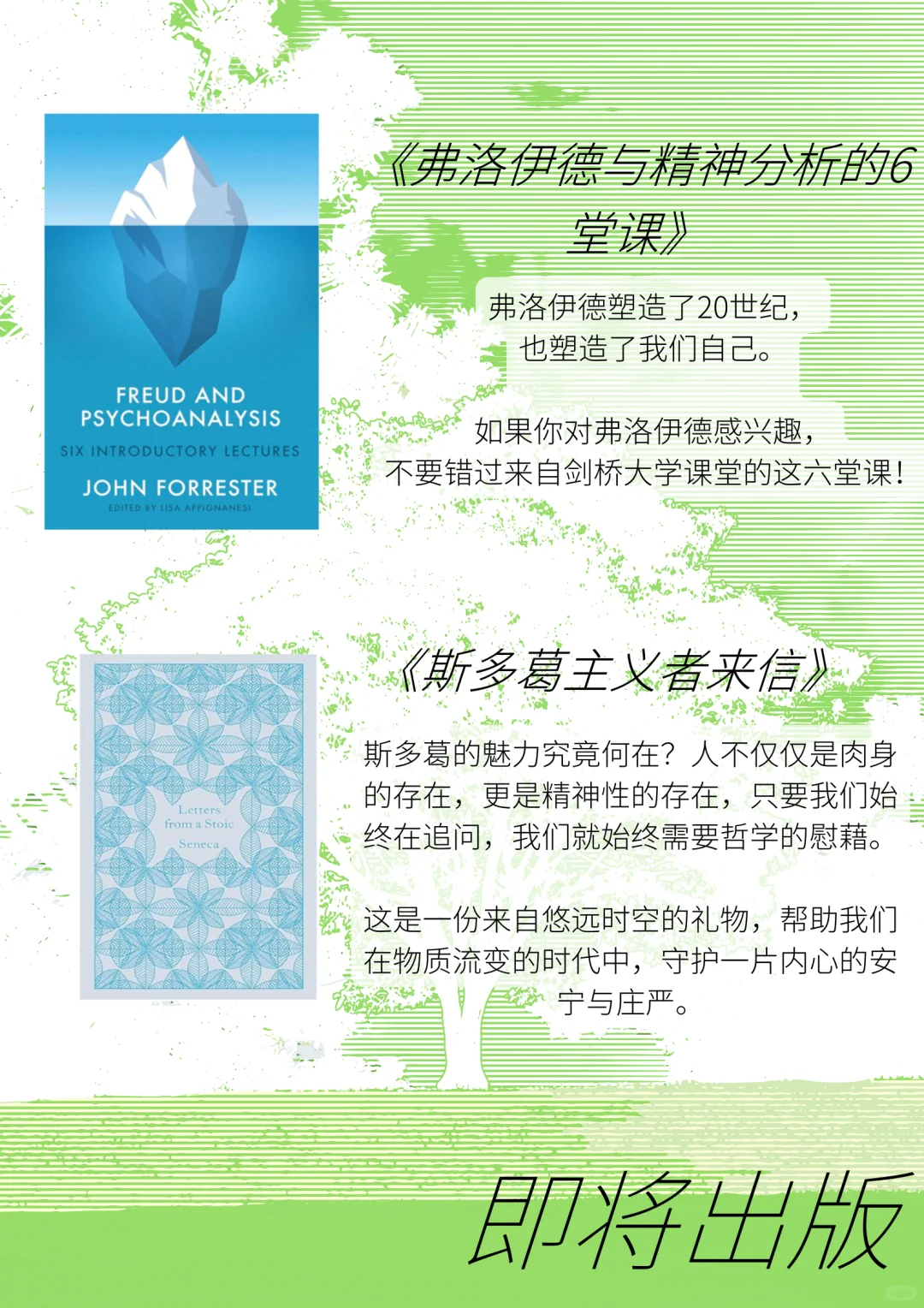 宠粉福利🎁下半年新书剧透！每本都很重磅