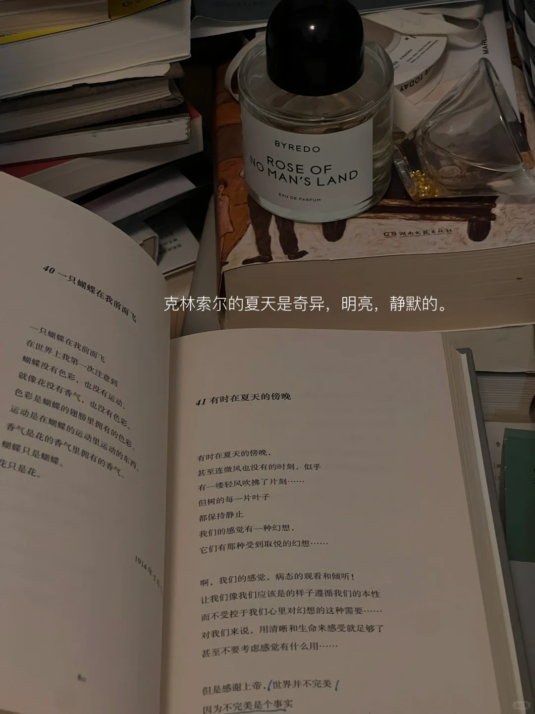 七月夏日书单｜我选书的天赋😇