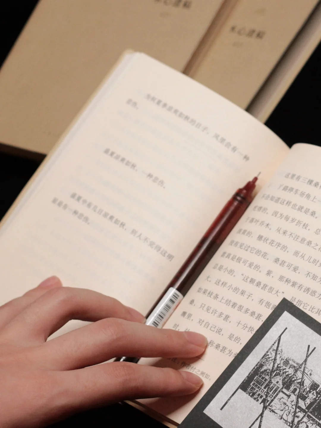 通勤书单📕巴掌大，方便携带的美丽小书