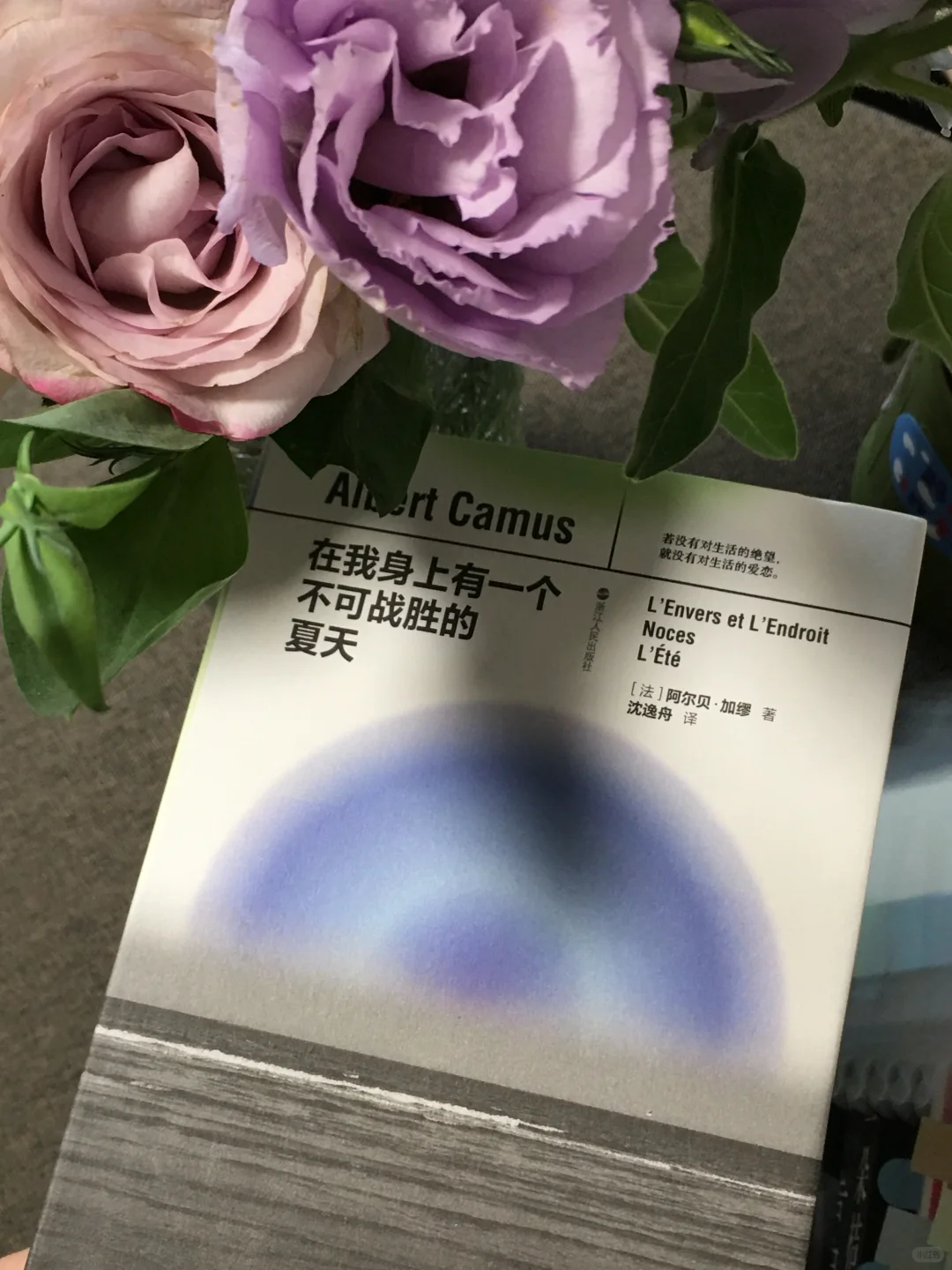 啊啊啊！终于有精装又便携的口袋书加缪了！！