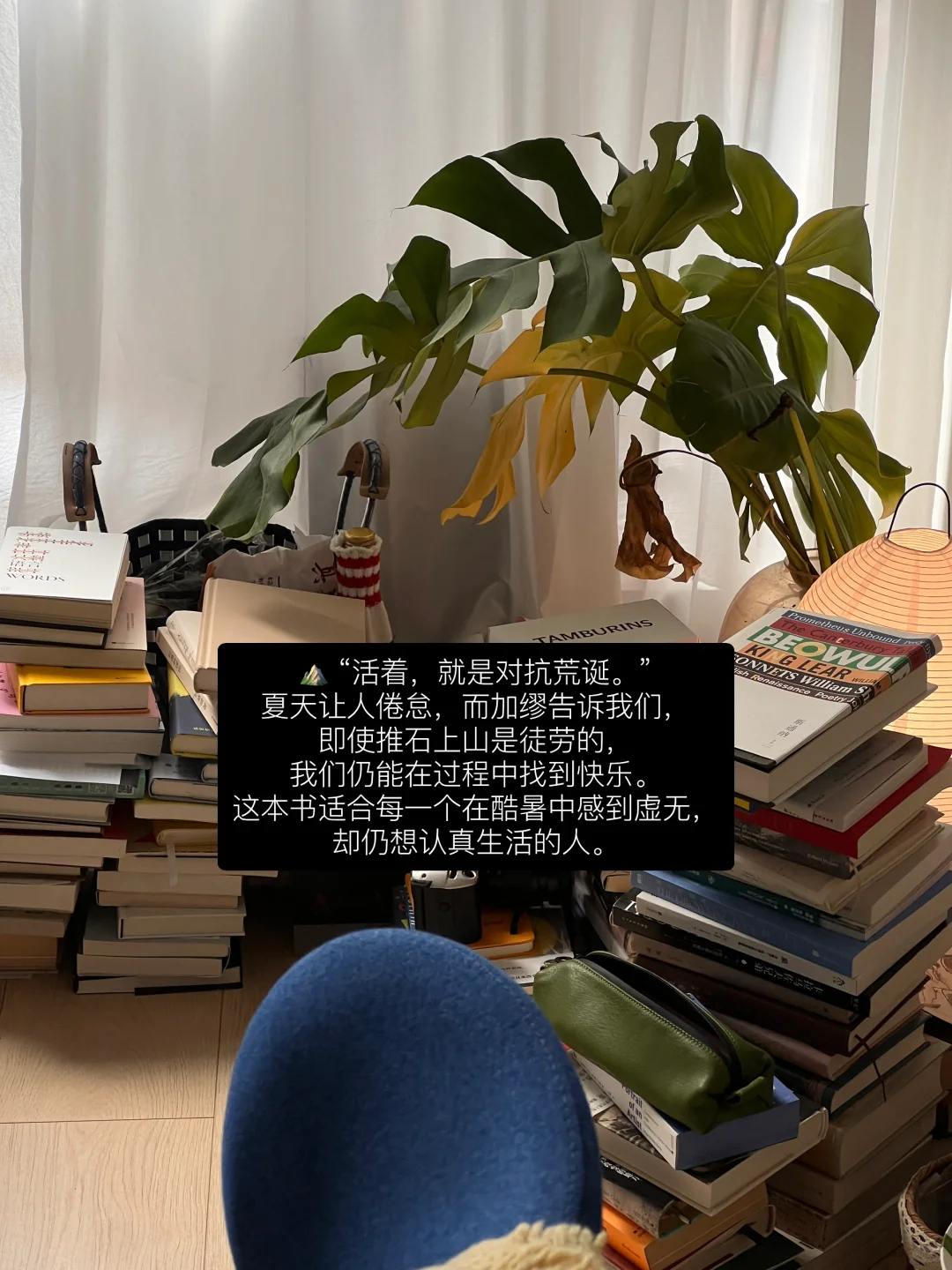 七月夏日书单｜我选书的天赋😇