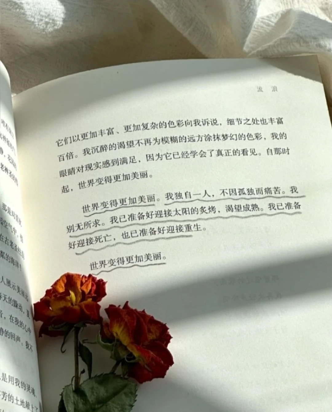 这本书让我感受到，人与人之间的真诚！
